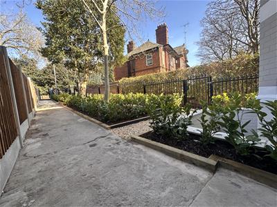 Picture 21